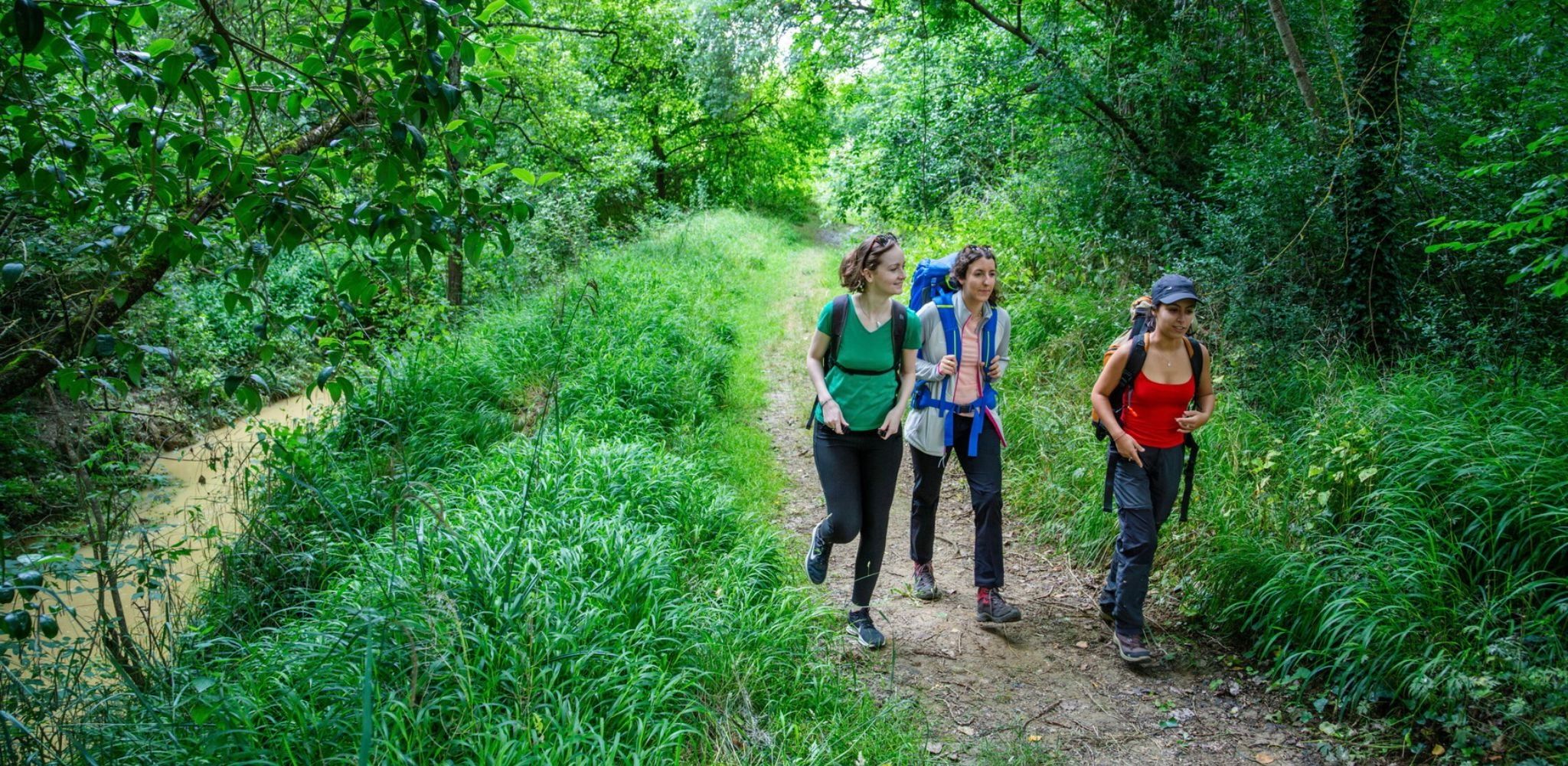 Le GR 101, Chemin de Lourdes