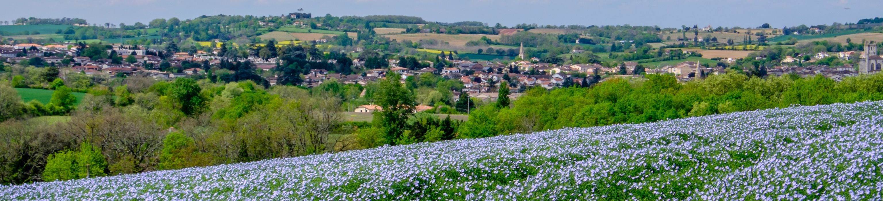 Patrimoine