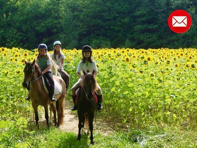 Des idées de sorties dans le Gers !