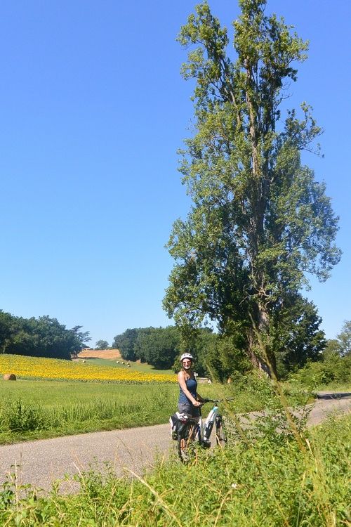 Circuits Vélos électriques (VAE)