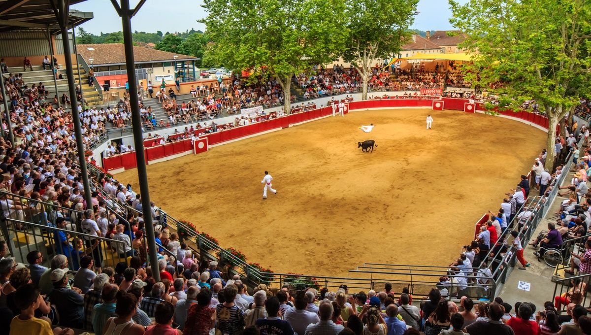 Nos arènes
