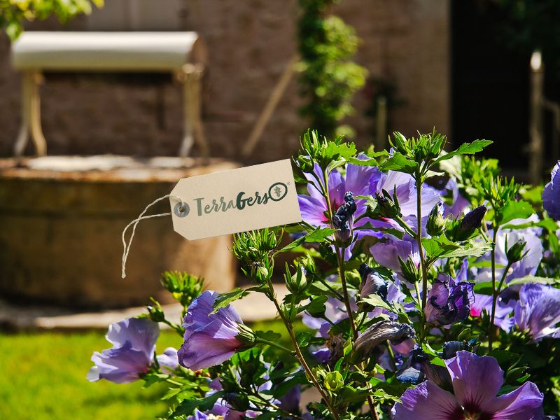 Nos villes et villages fleuris