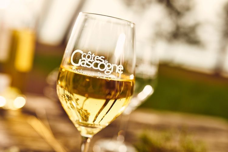 Côtes de Gascogne