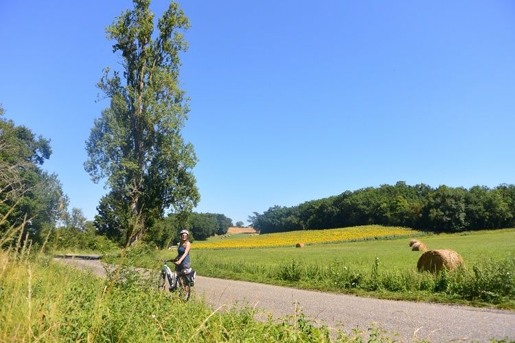 Bornes de vélos à assistance électrique