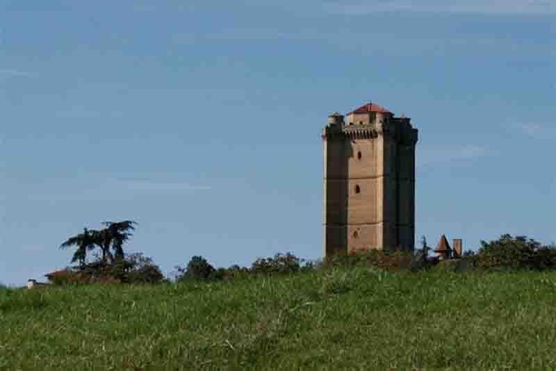 Collection Tourisme Gers/Donjon de Bassoues