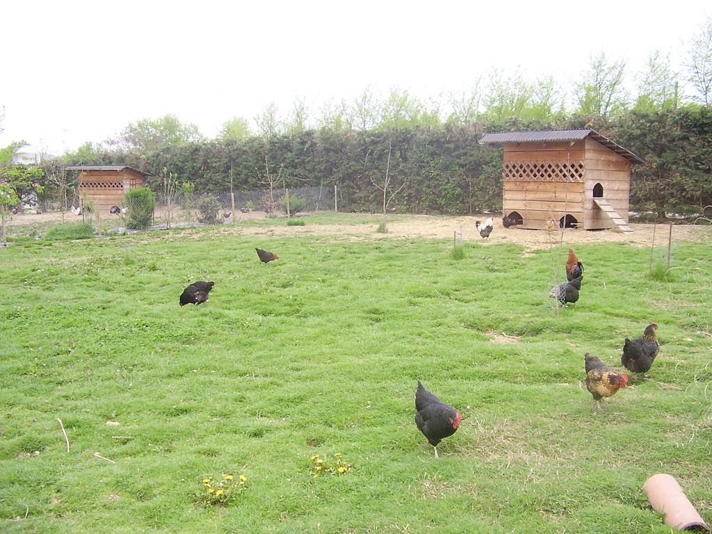 Collection Tourisme Gers/Ferme des Balances/M. C. Caumont