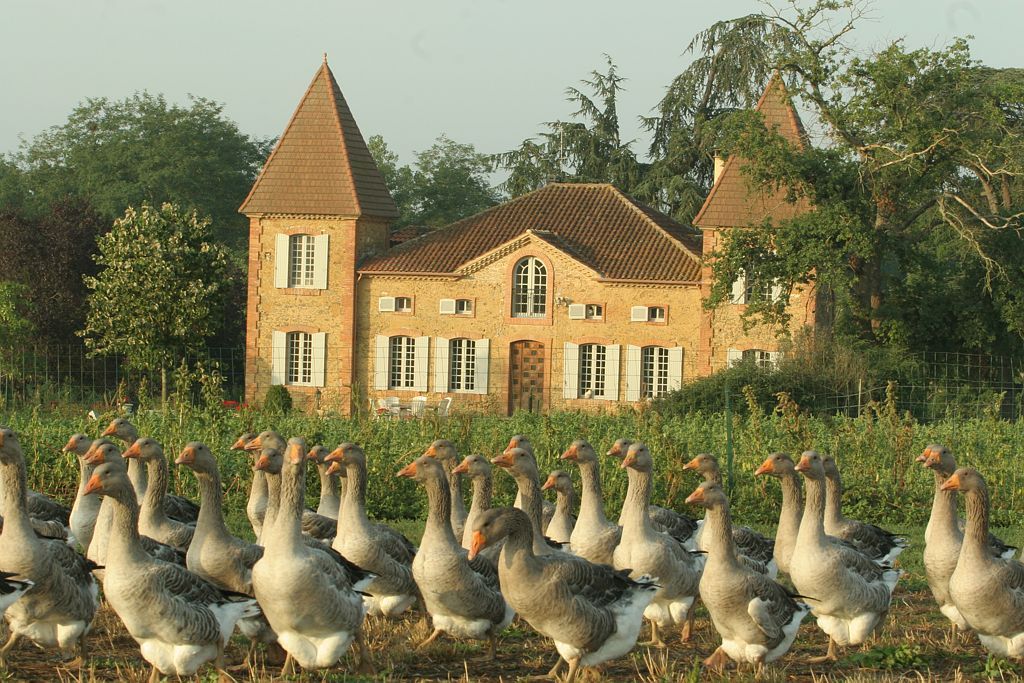 Collection Tourisme Gers/Ferme de Mounet/Bernard Dugros