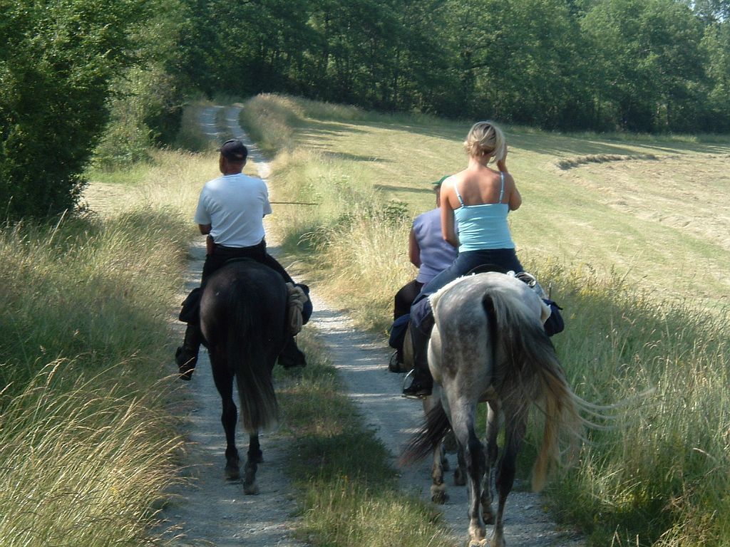 Collection Tourisme Gers/Ecuries d'Armagnac/Trier