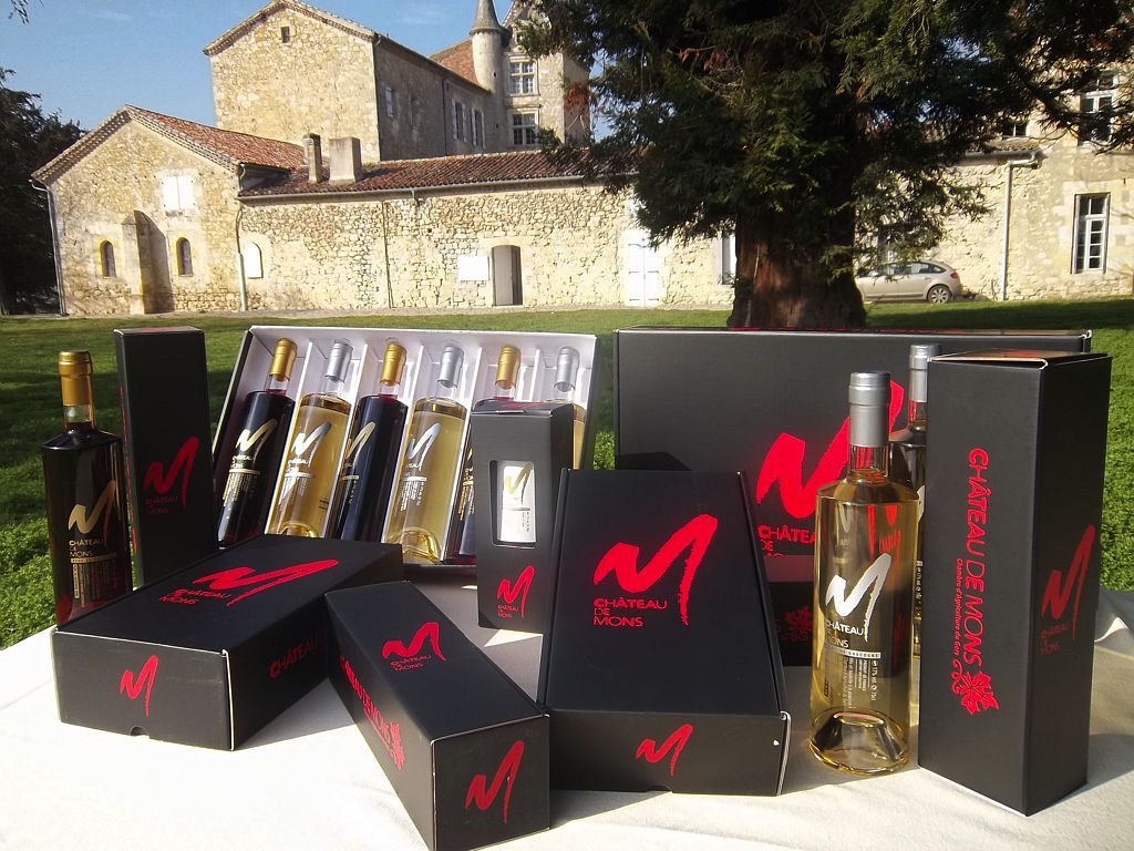 CHÂTEAU DE MONS EN ARMAGNAC