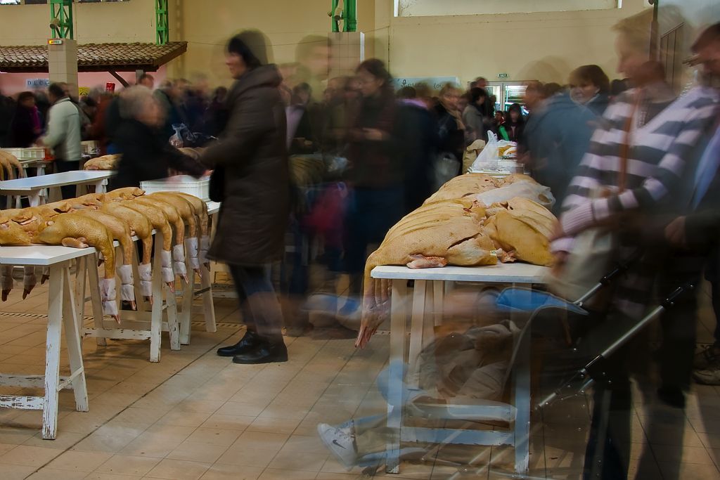 MARCHÉ AU GRAS DU DIMANCHE, "GRASSE MATINEE"