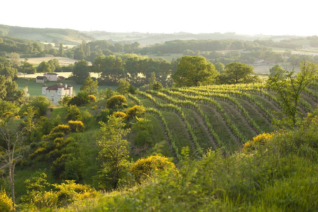 Collection Tourisme Gers/Domaine de Herrebouc/Philippe Fitte