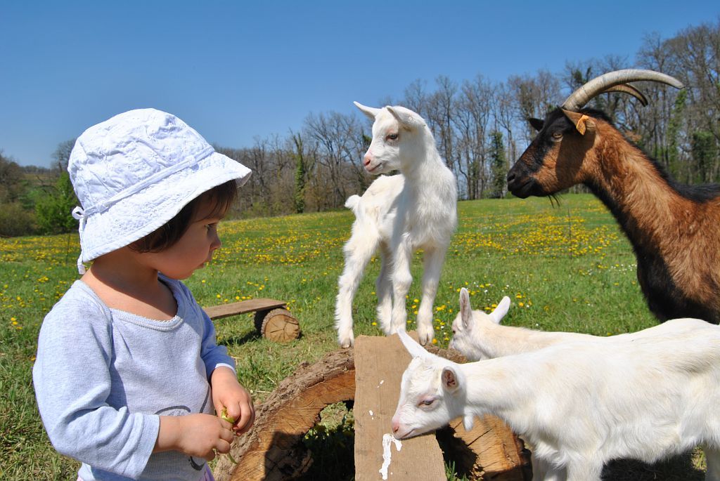 LA FERME EN SCÈNE