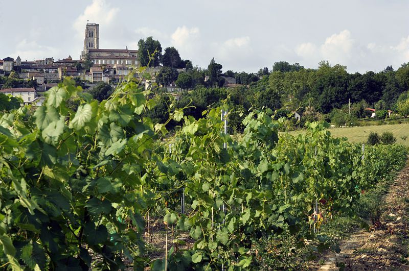 CAVE DE LECTOURE
