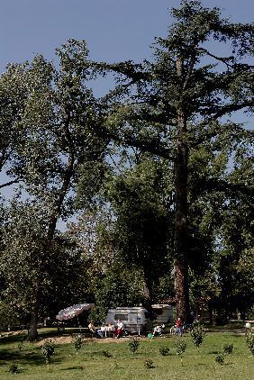 Collection Tourisme Gers/Camping Labeyrie/Jean-Bernard Laffitte