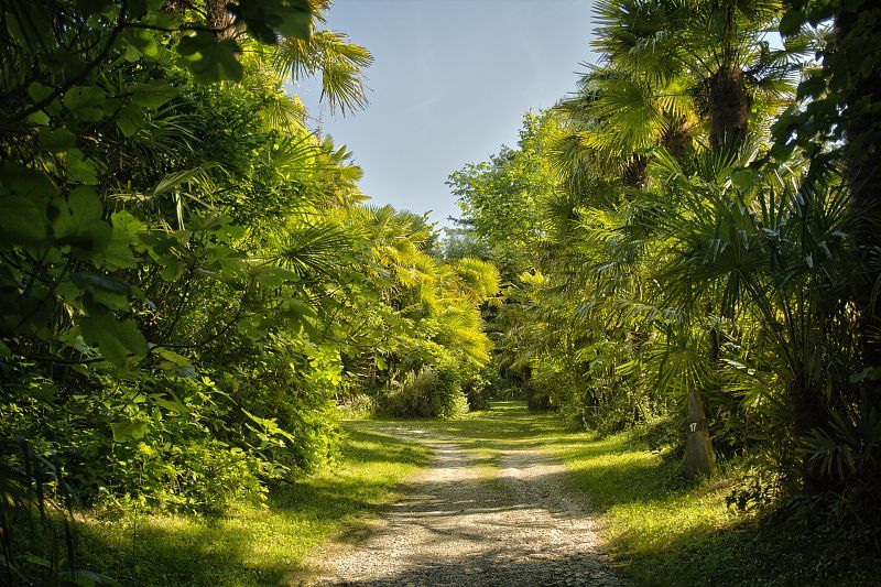RENDEZ-VOUS AUX JARDINS - PALMERAIE DU SARTHOU A BÉTOUS