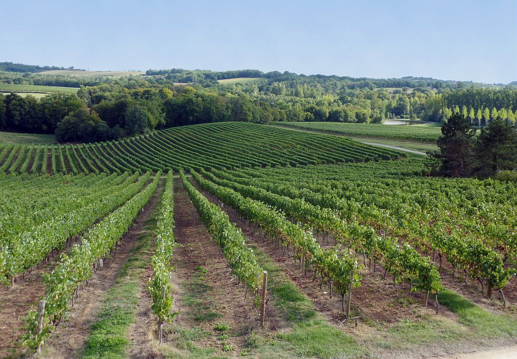 Collection Tourisme Gers/Domaine de l'Herré/C. Gal
