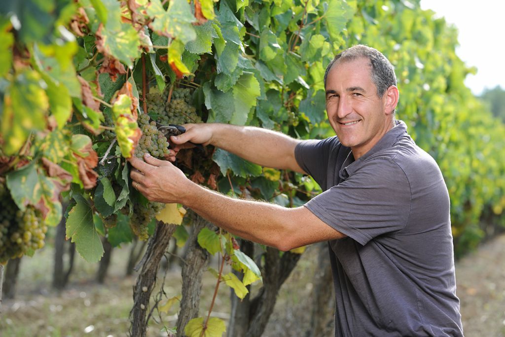 Collection Tourisme Gers/Domaine de Magnaut