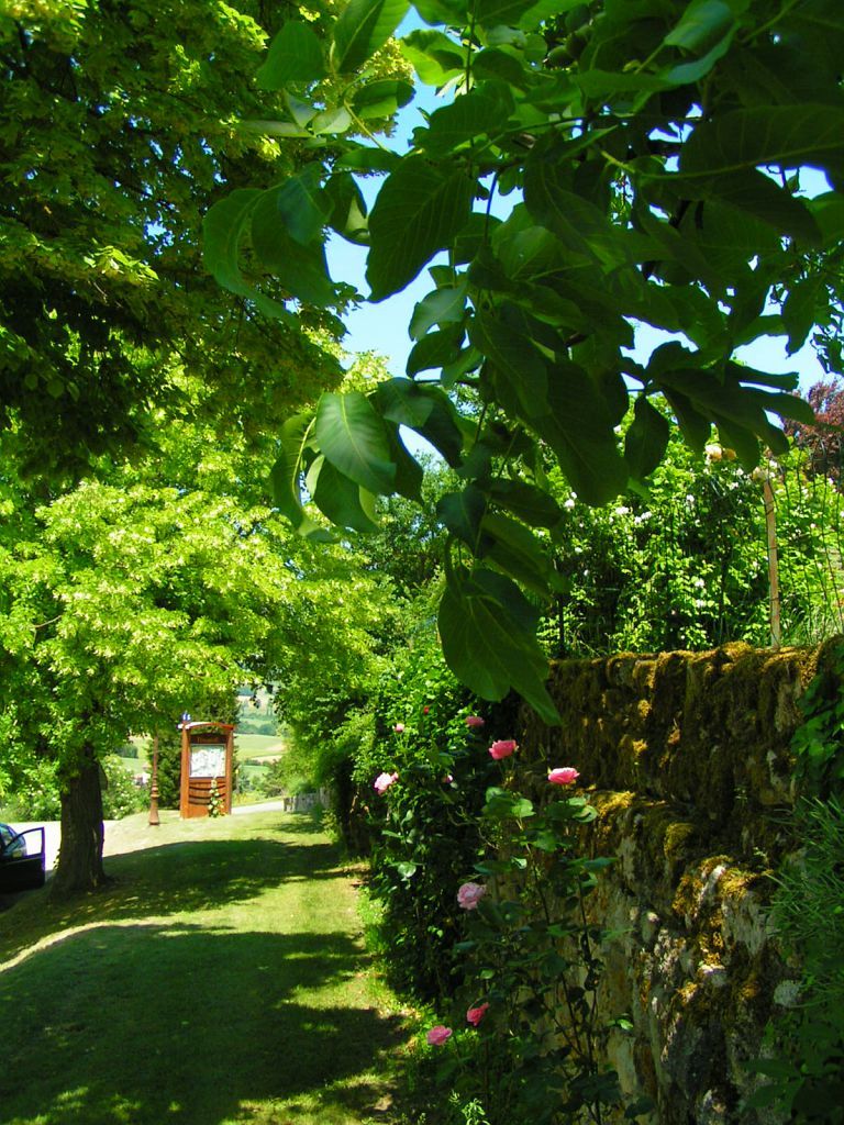 Collection Tourisme Gers/OT Ténarèze/A. Morlan