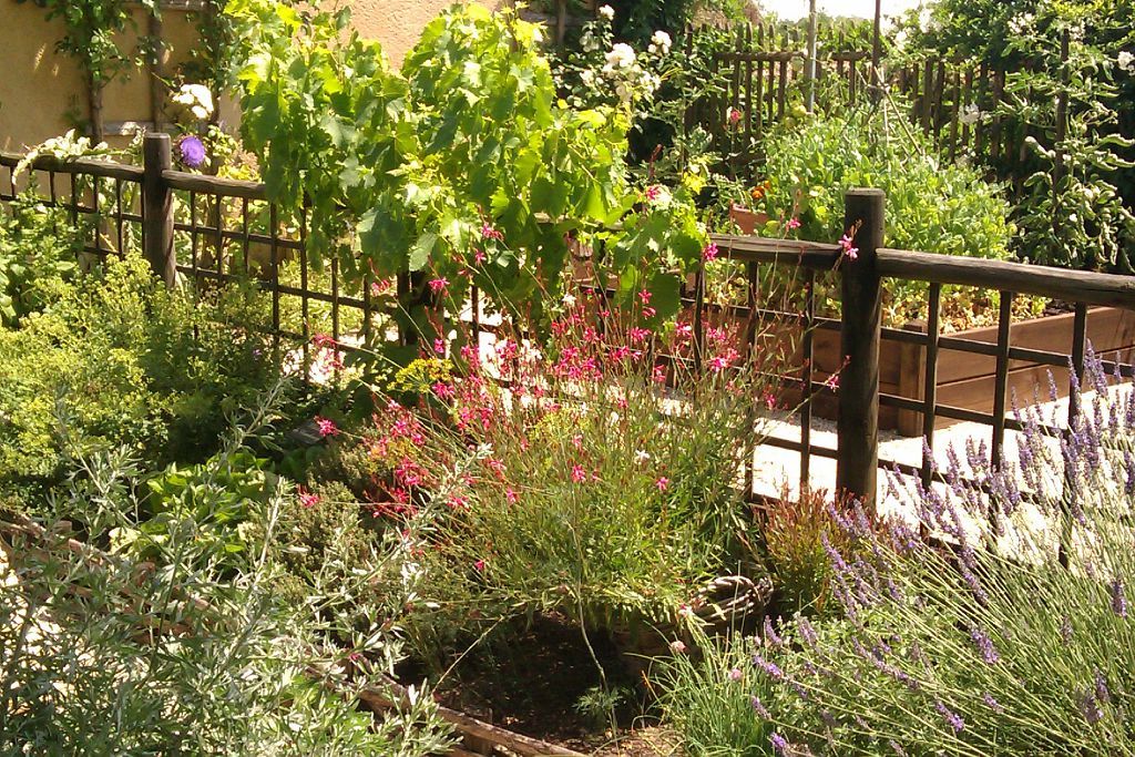 JARDIN DE JEANNE