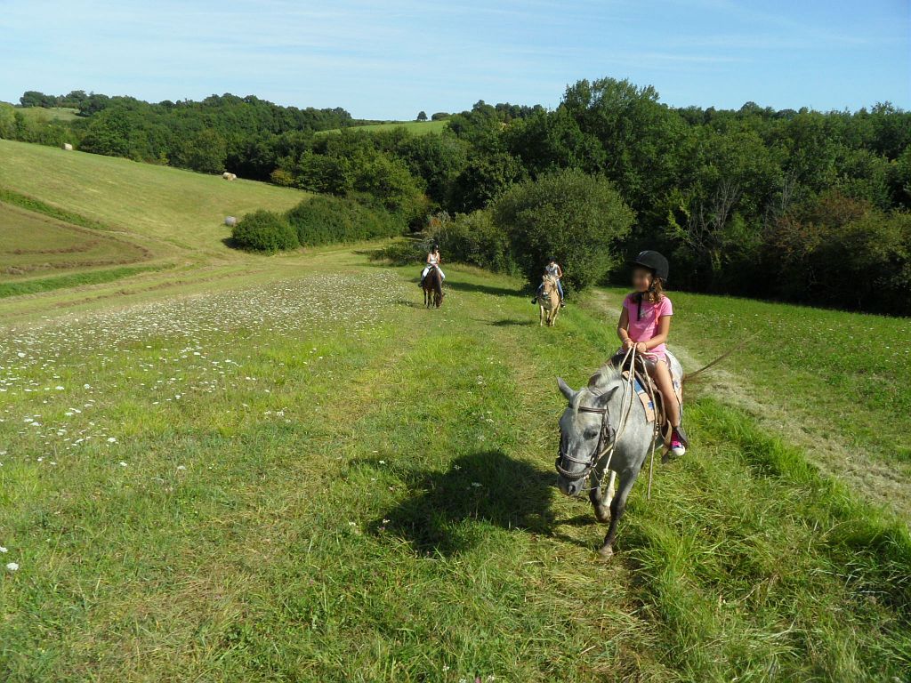 LE GR653 - SAINT-JACQUES DE COMPOSTELLE