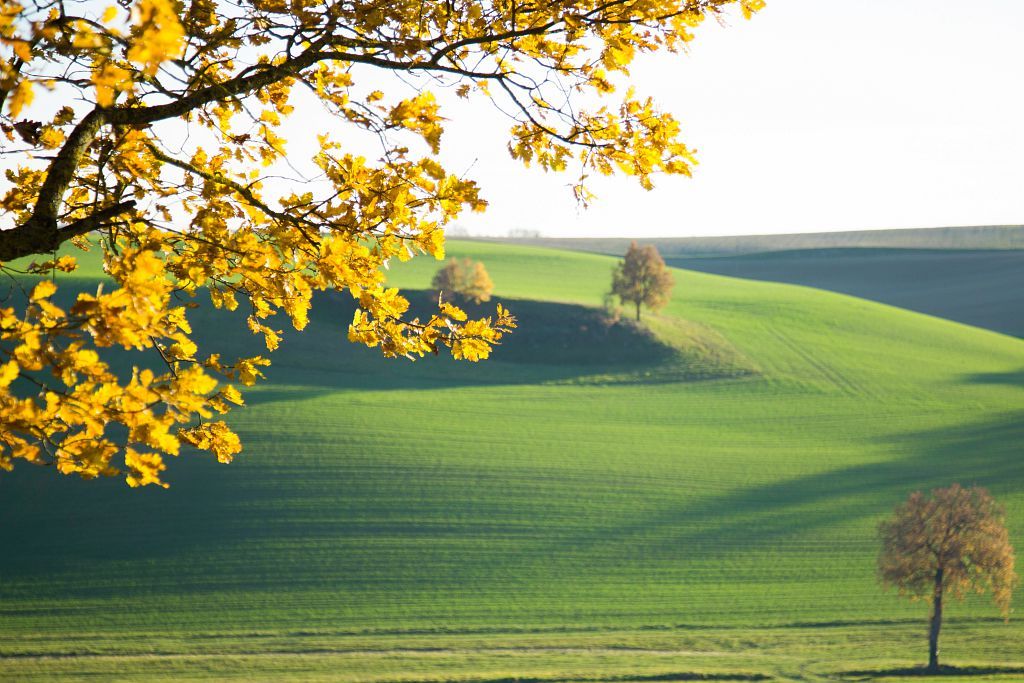 GITE DU DOMAINE DE NAZÈRE