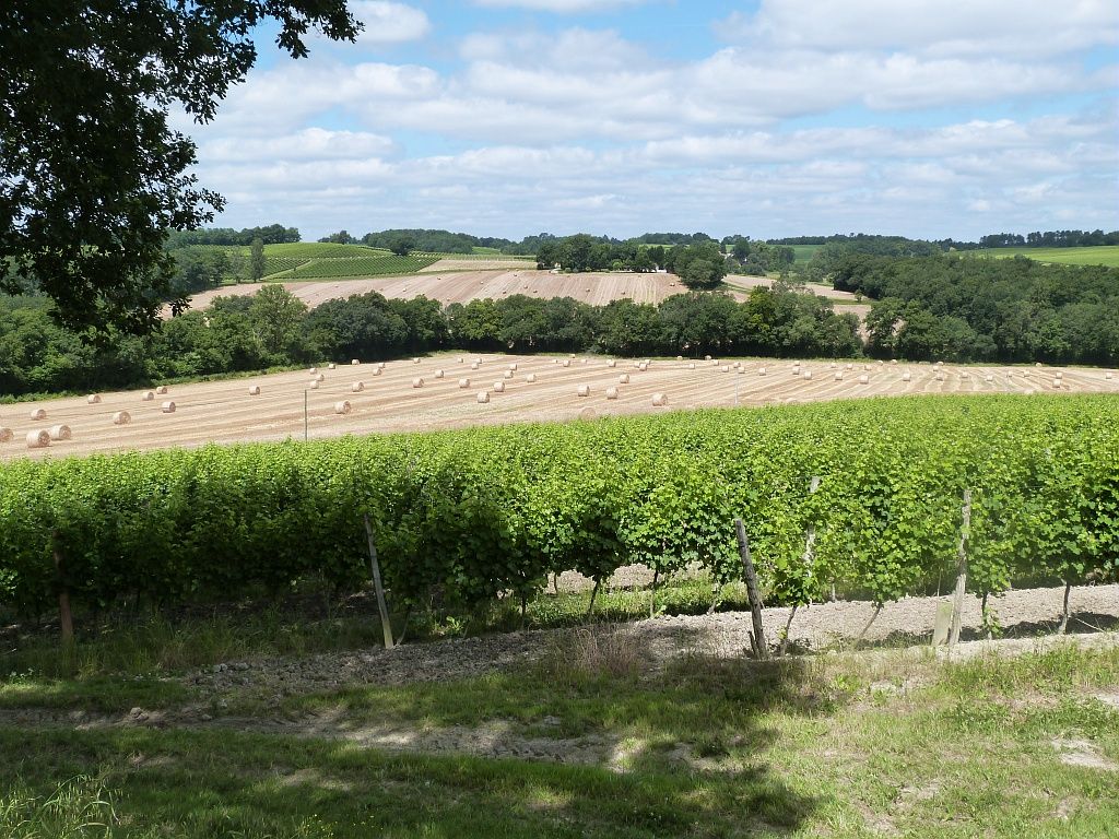 Collection Tourisme Gers/CDT32/C. Pistre