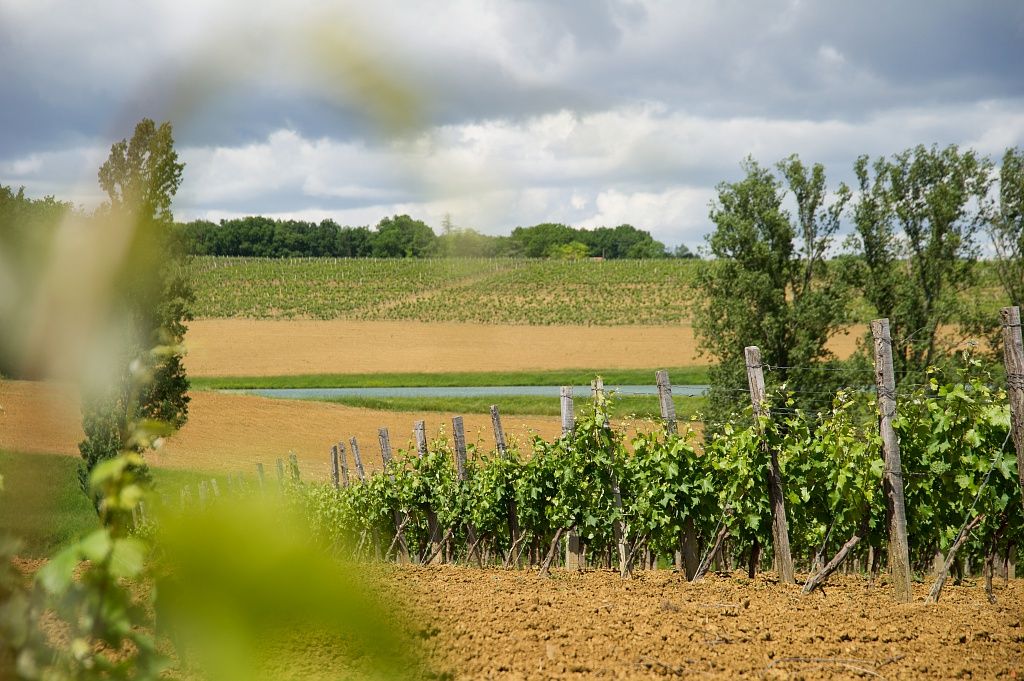 Collection Tourisme Gers/Domaine du Grand Comté