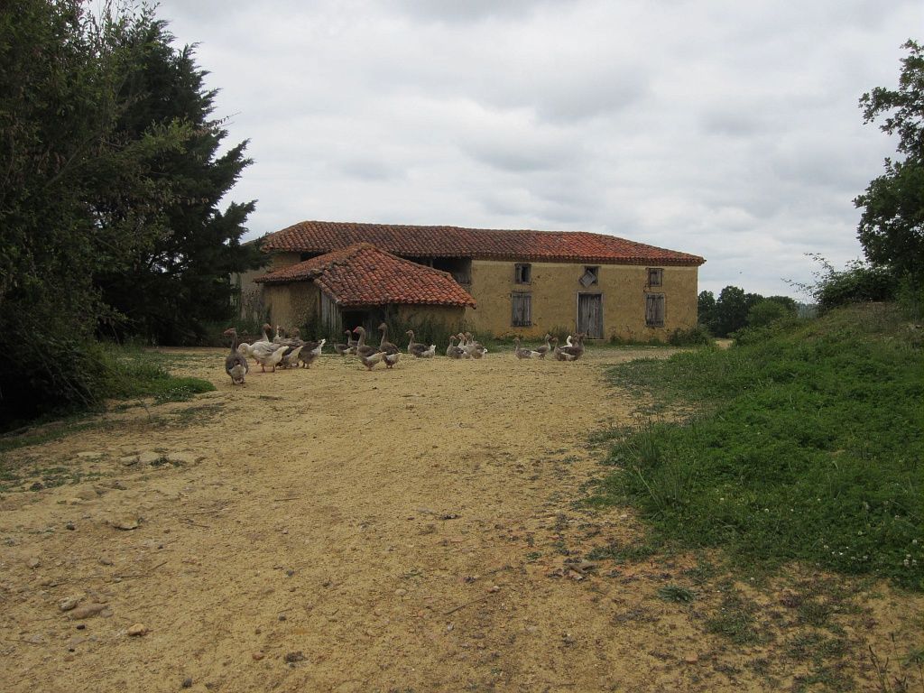 Collection Tourisme Gers/OT Val de Gers