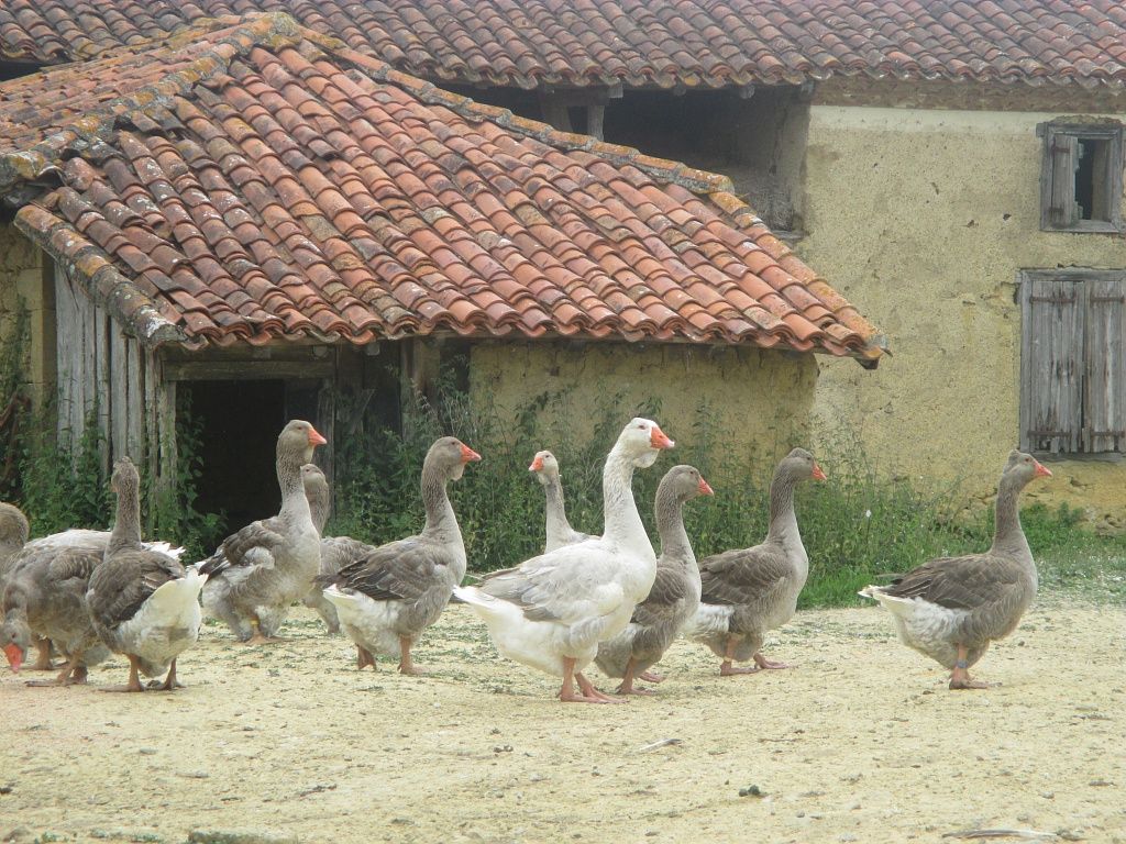 Collection Tourisme Gers/OT Val de Gers