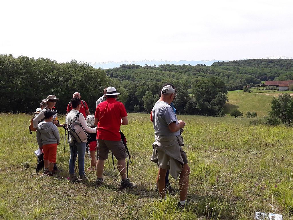 SENTIER À LA DECOUVERTE DE LA FAUNE ET LA FLORE