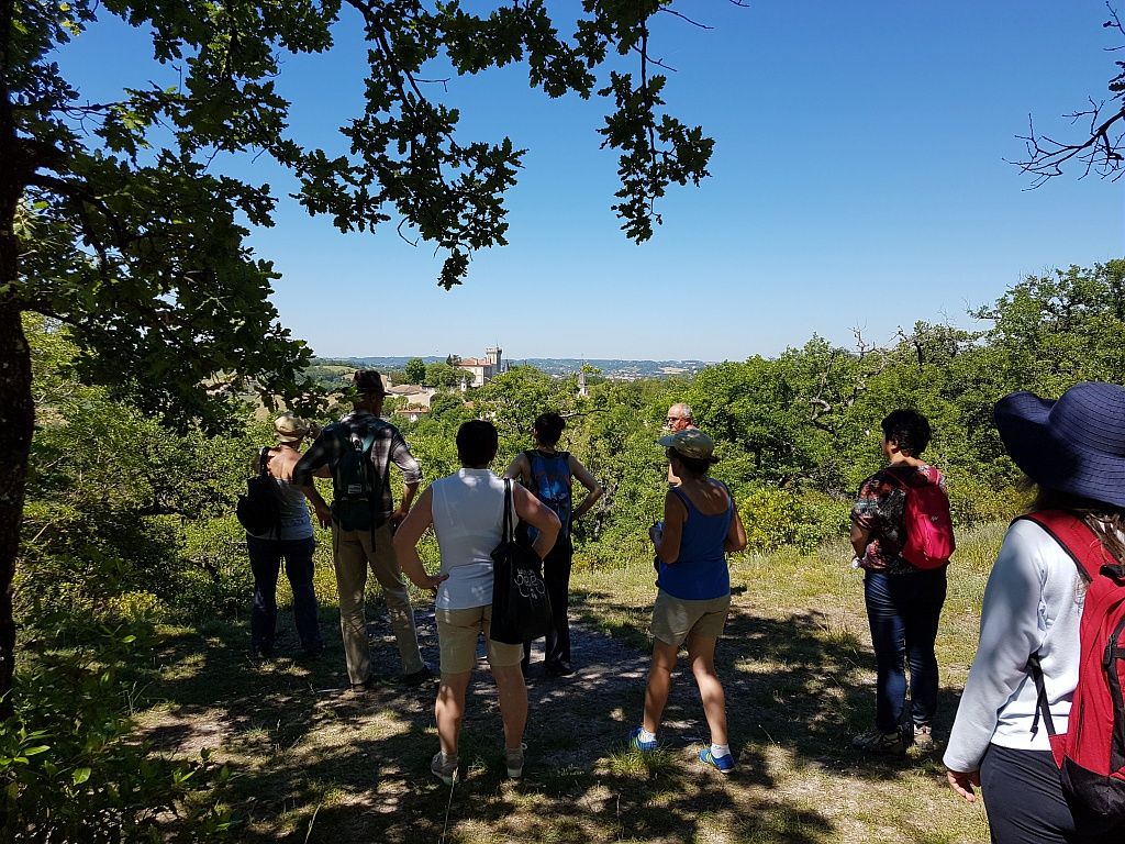 Collection Tourisme Gers/Grand Auch Coeur de Gascogne