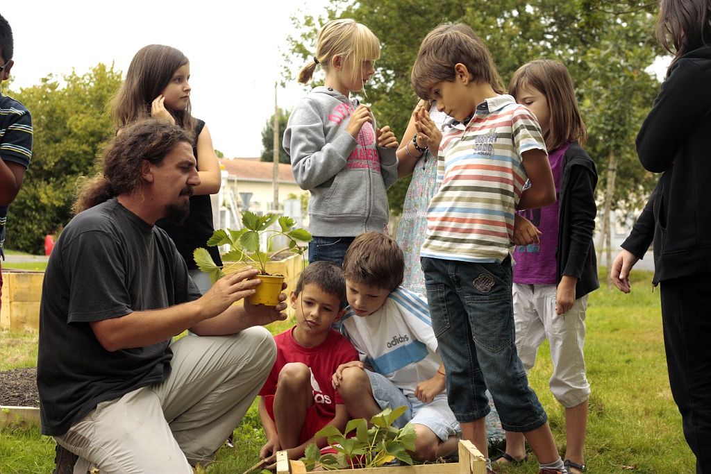 JARDIN ARTPICULTURE