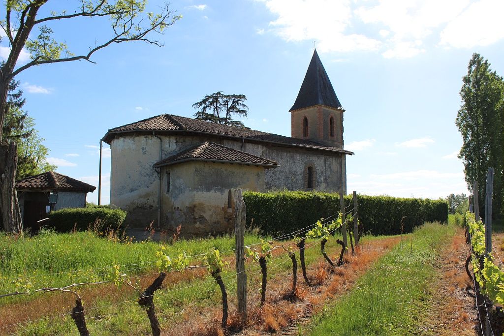 ARMAGNAC CONFIDENTIEL : ROUTE DES VINS DU GERS