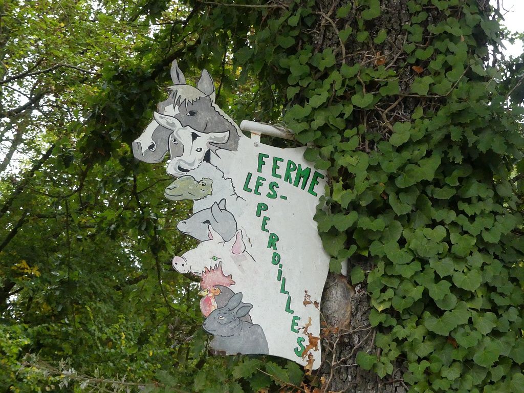 CHAMBRES D'HÔTES LA FERME LES PERDILLES