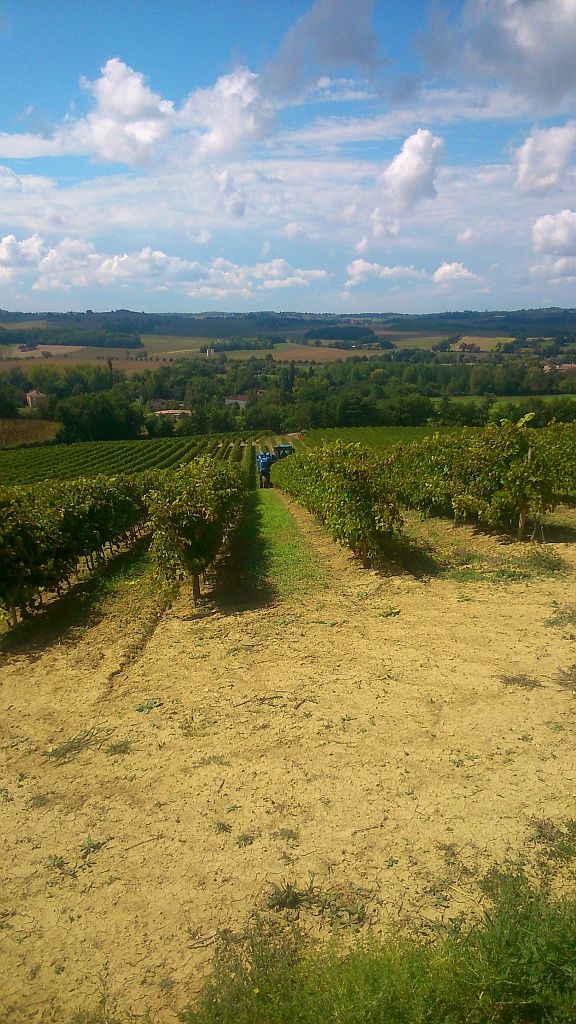 DOMAINE DU CAPITAINE