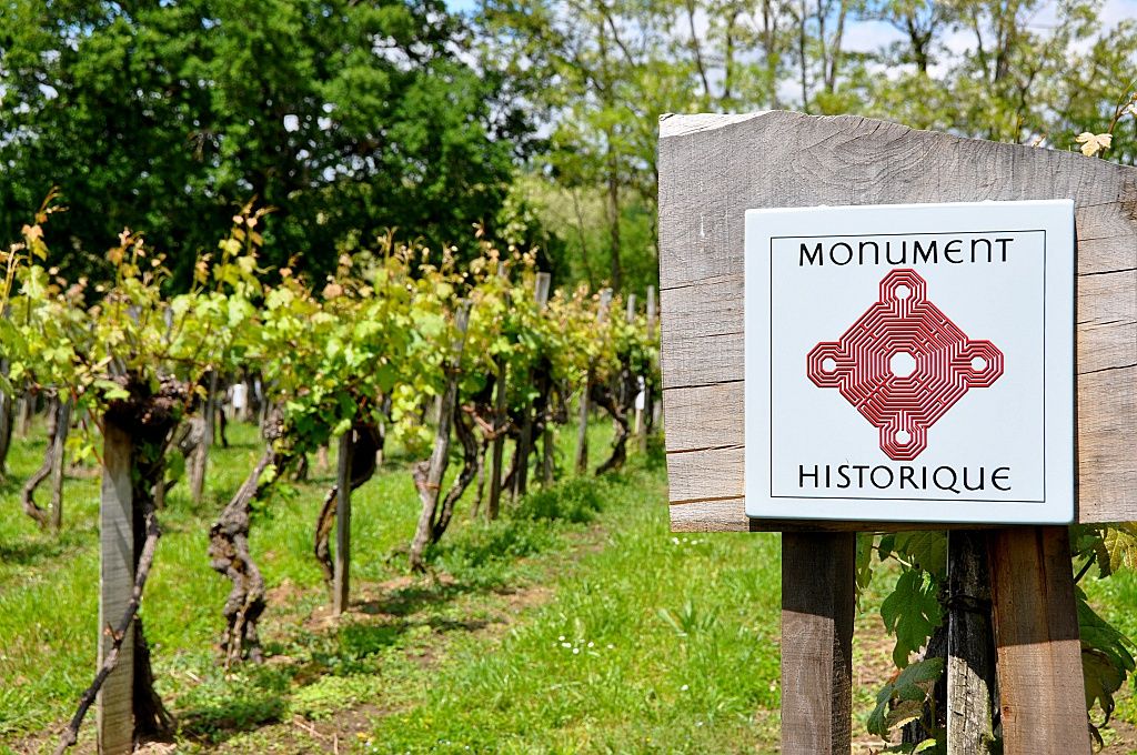 VISITE DE LA VIGNE INSCRITE AUX MONUMENTS HISTORIQUES