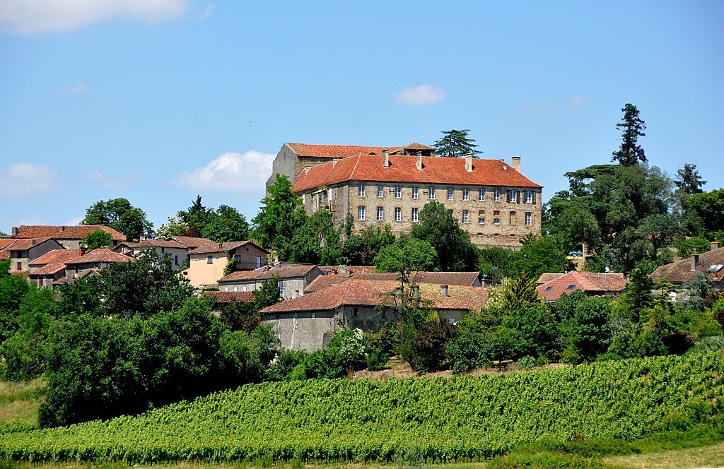 VISITE DÉCOUVERTE VIGNOBLE DE PLAIMONT