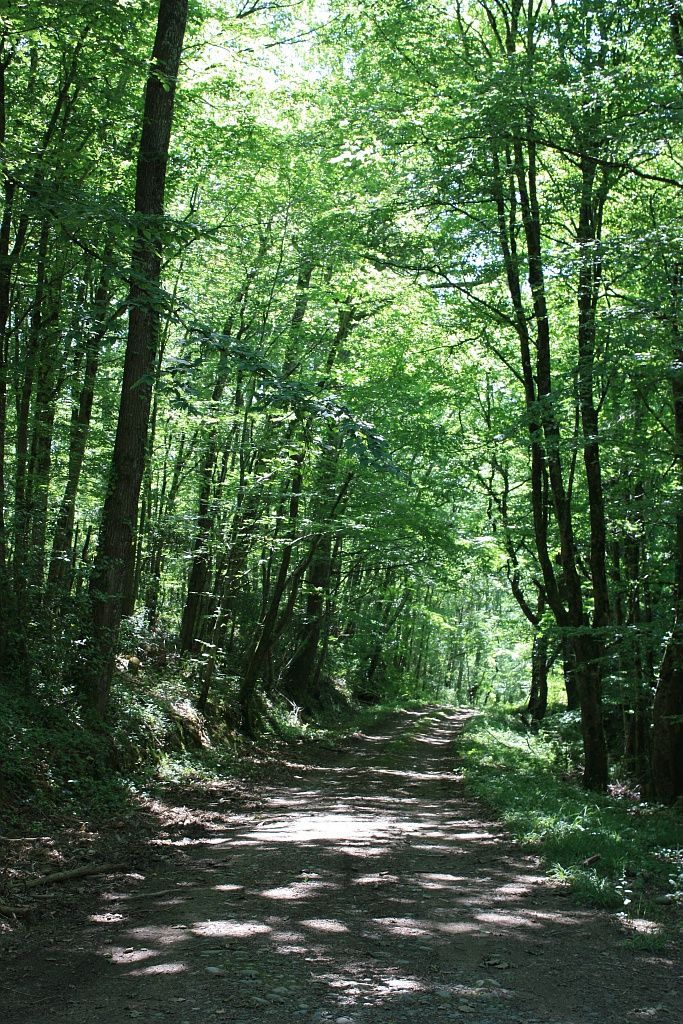 Collection Tourisme Gers/Communauté de Communes Astarac Arros en Gascogne
