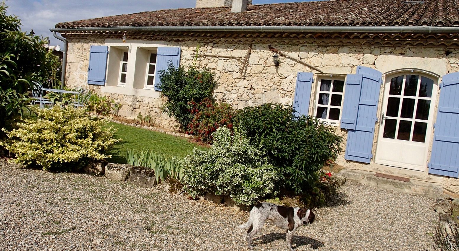 AU CHIEN PÈLERIN