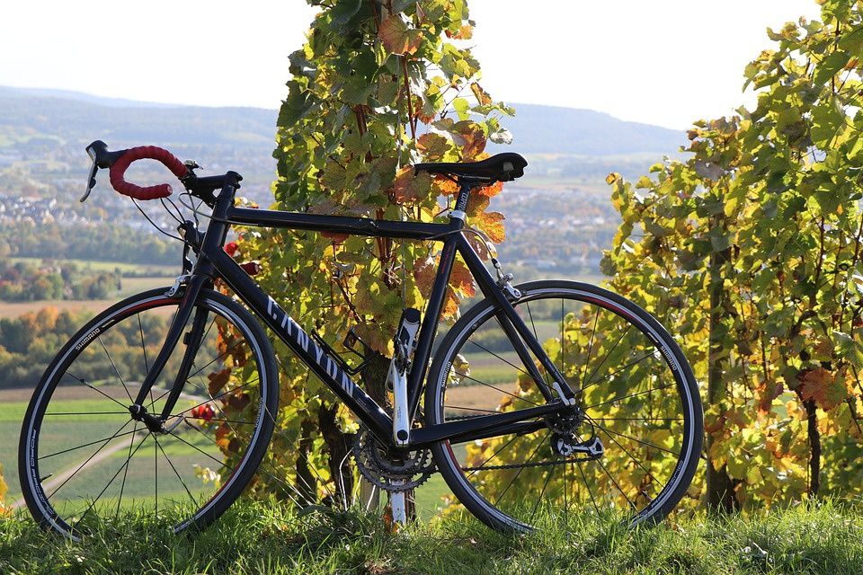 BALADE AU COEUR DES VIGNOBLES BRUMONT EN VÉLO ÉLECTRIQUE