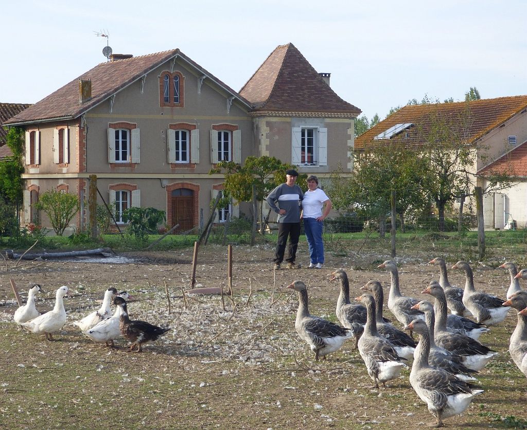 Collection Tourisme Gers/Ottga Ferme de Peyroutet