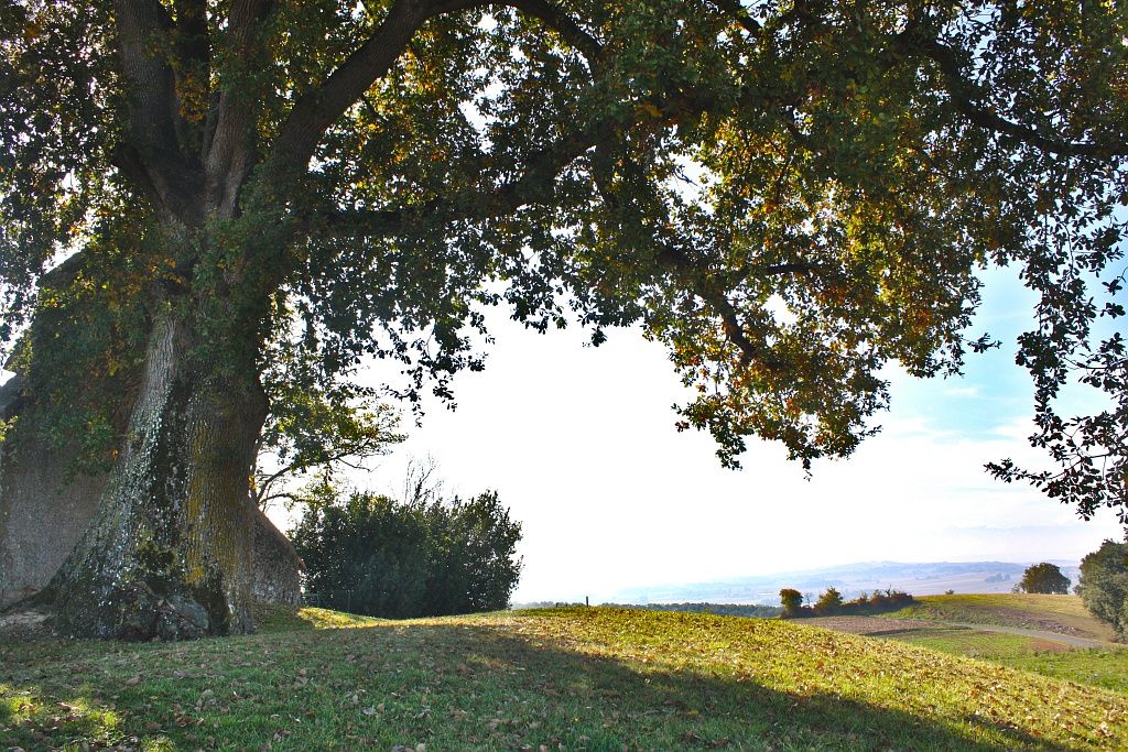 Collection Tourisme Gers/Communauté de communes Astarac Arros en Gascogne