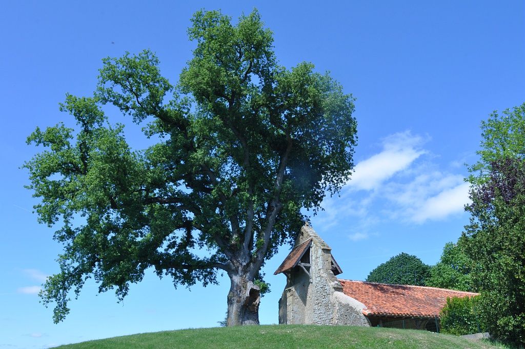 Collection Tourisme Gers/Communauté de communes Astarac Arros en Gascogne