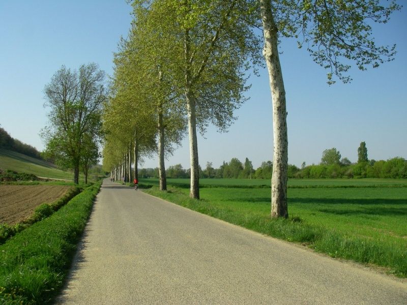 Collection Tourisme Gers/OT Val de Gers