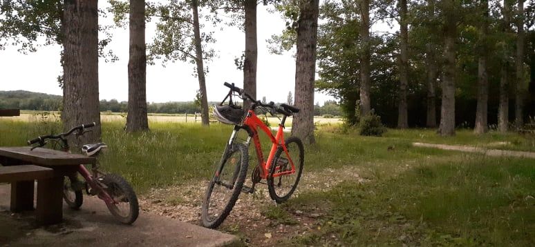 AU BOIS DES MOINES - VTT7