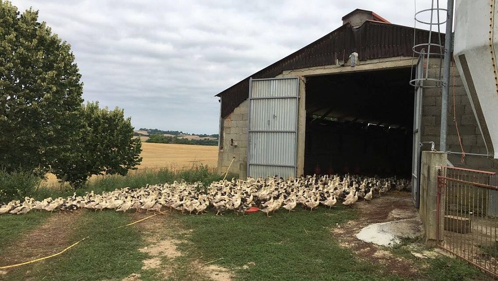 FERME AUX 4 CHÊNES