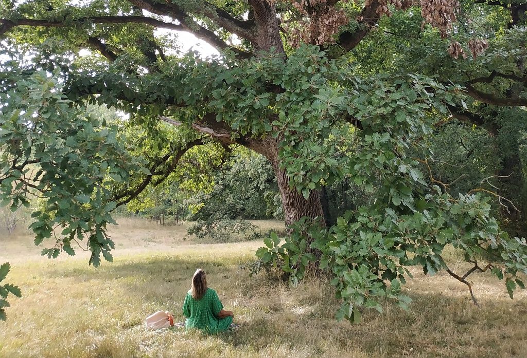 PAUSE NATUR'ELLES 