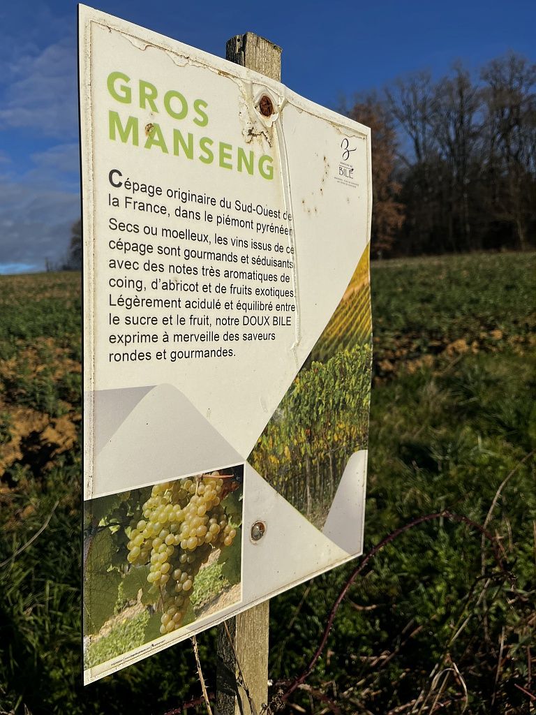 BALADE OENO-LUDIQUE AU DOMAINE DE BILÉ