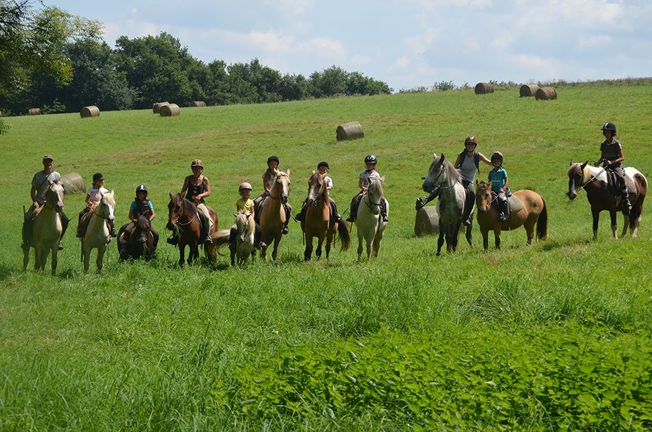 PONEY CLUB DES 3 COLLINES