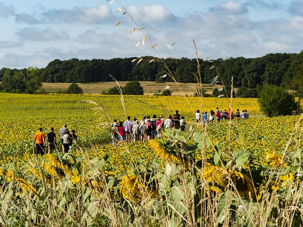 Collection Tourisme Gers/musique en chemin